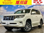 LANDCRUISER PRADO