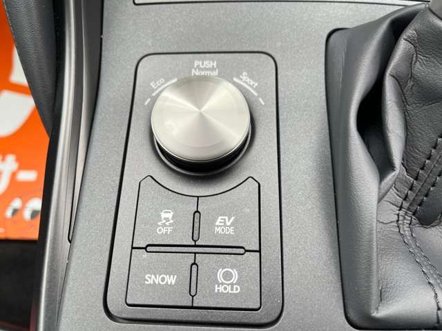 LEXUS IS300h