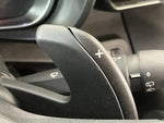 Berlingo