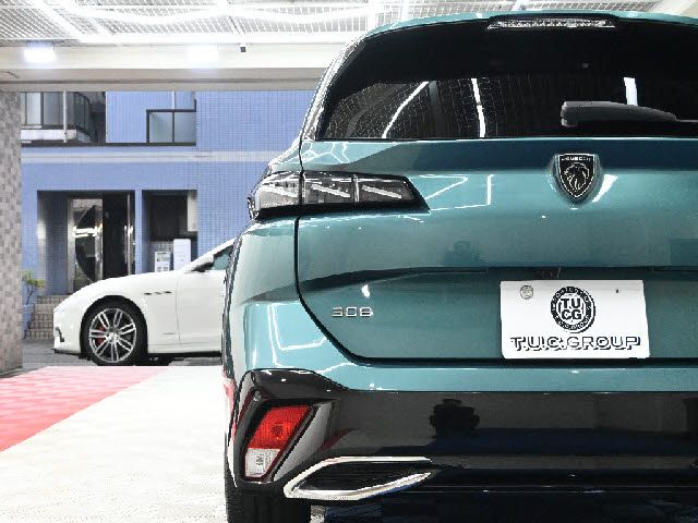 PEUGEOT 308SW