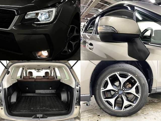 FORESTER