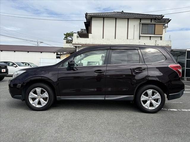FORESTER