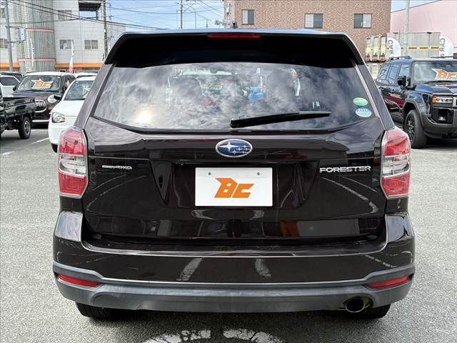 FORESTER