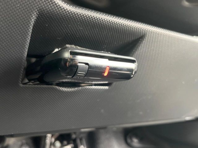RAIZE HYBRID