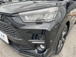 RAIZE HYBRID