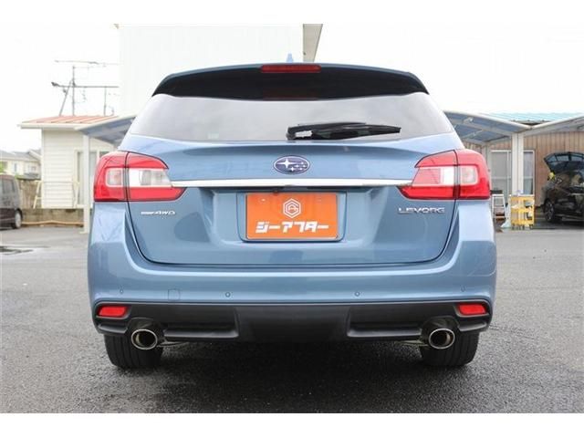 LEVORG