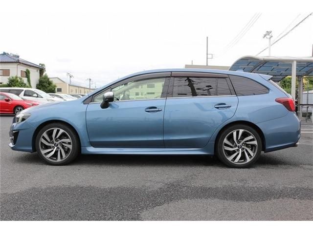 LEVORG