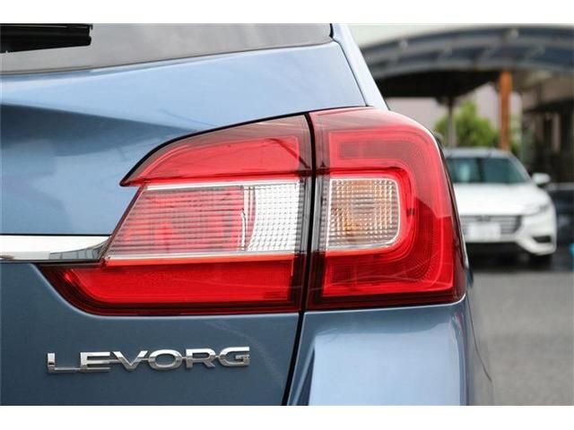 LEVORG