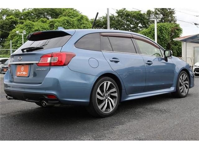 LEVORG