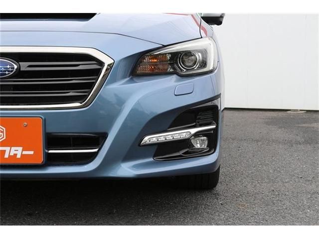 LEVORG