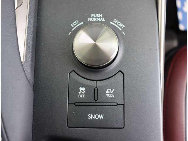 LEXUS IS300h