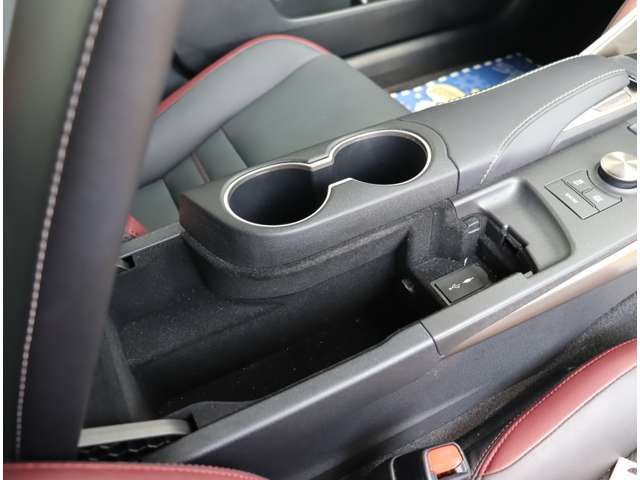 LEXUS IS300h