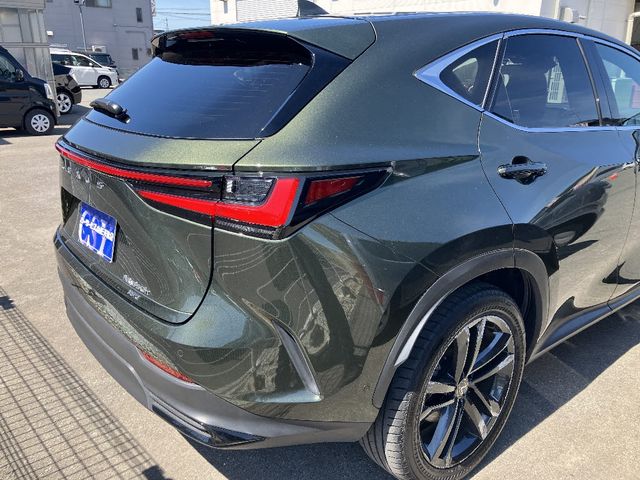 LEXUS NX350h AWD