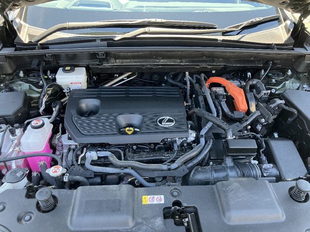 LEXUS NX350h AWD