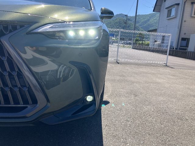 LEXUS NX350h AWD