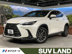 LEXUS NX250 AWD