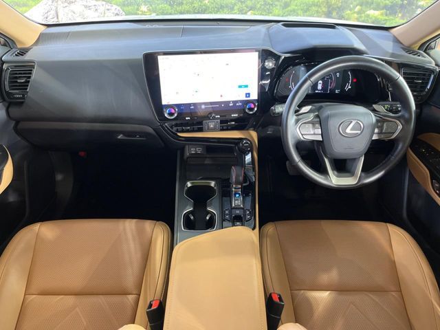 LEXUS NX250 AWD