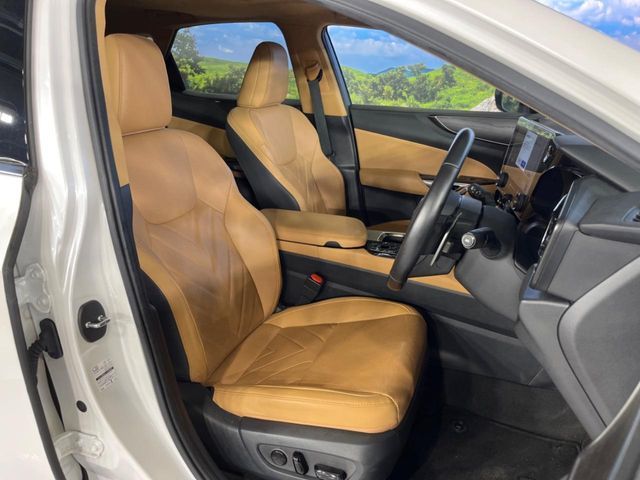 LEXUS NX250 AWD