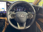 LEXUS NX250 AWD