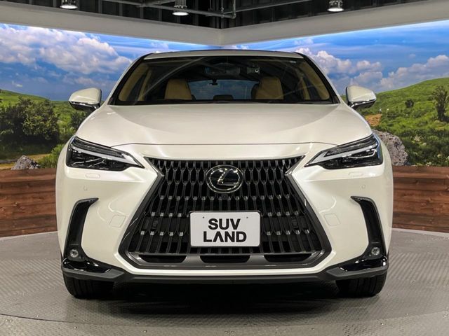 LEXUS NX250 AWD