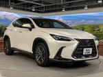 LEXUS NX250 AWD