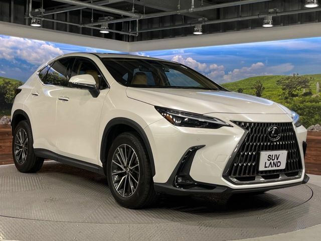 LEXUS NX250 AWD
