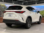 LEXUS NX250 AWD
