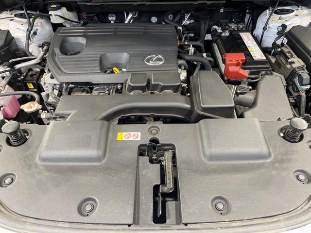 LEXUS NX250 AWD