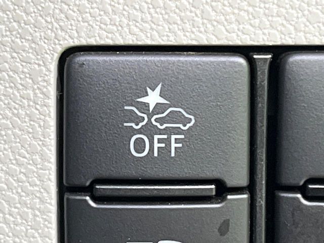 MIRA e:S 4WD