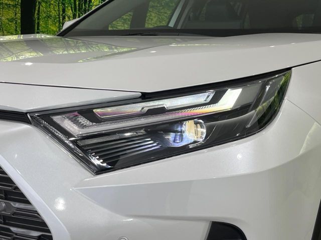 RAV4 HYBRID 4WD
