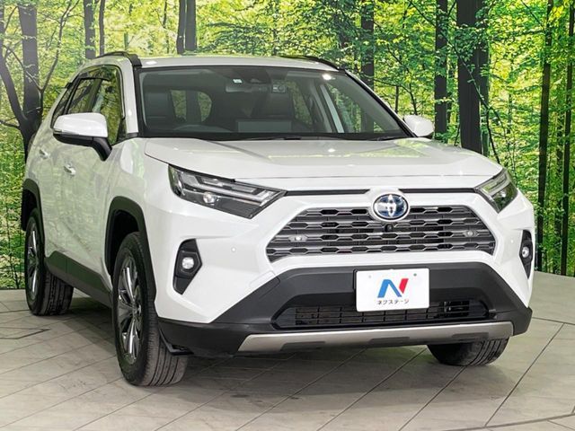 RAV4 HYBRID 4WD