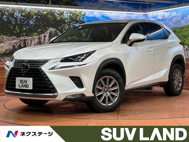 LEXUS NX300