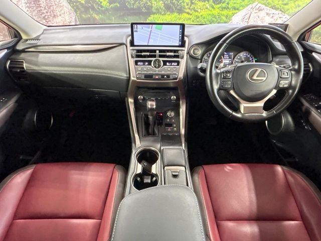 LEXUS NX300