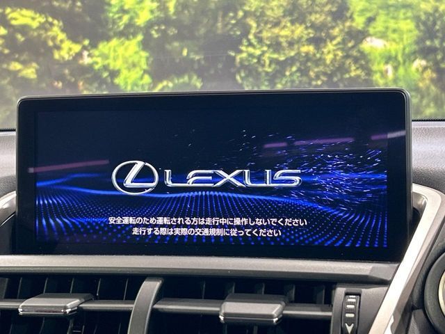 LEXUS NX300