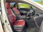 LEXUS NX300