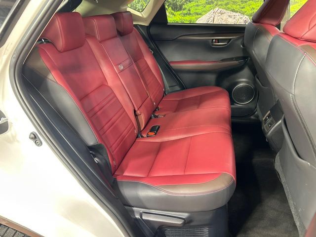 LEXUS NX300