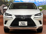 LEXUS NX300