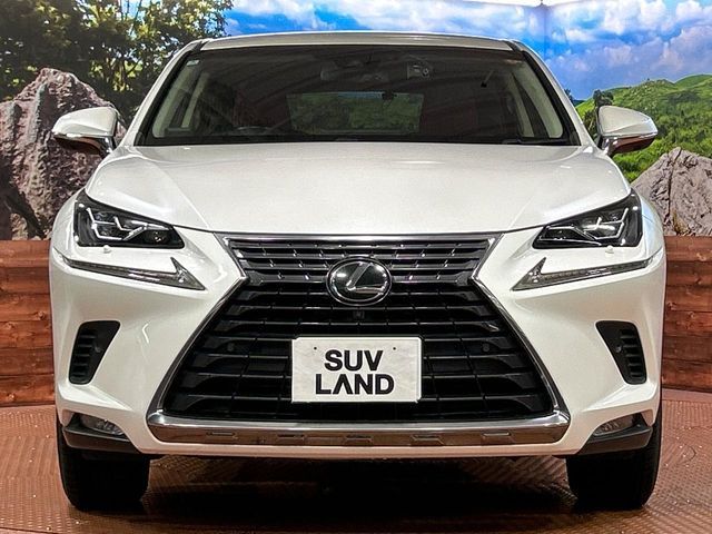 LEXUS NX300