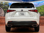 LEXUS NX300
