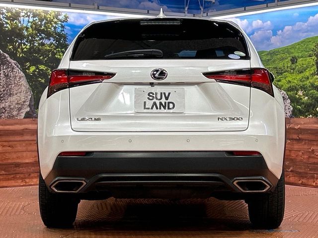 LEXUS NX300
