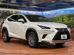 LEXUS NX300