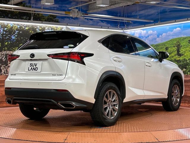 LEXUS NX300