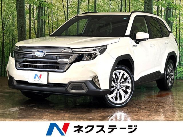 FORESTER