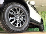 LANDCRUISER 250