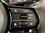 STEPWAGON e:HEV SPADA