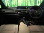 LEXUS UX250h