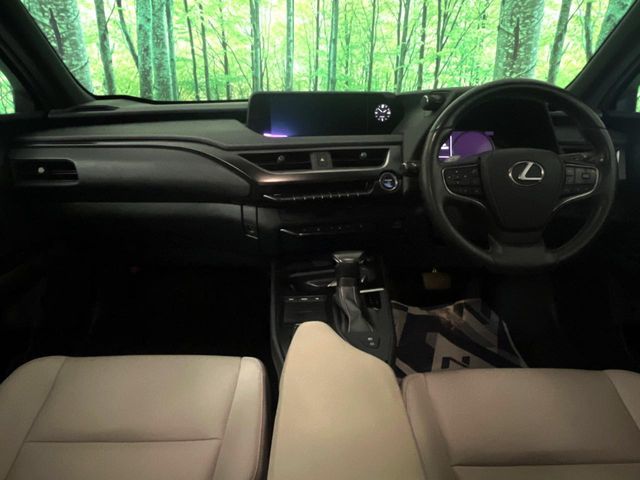 LEXUS UX250h