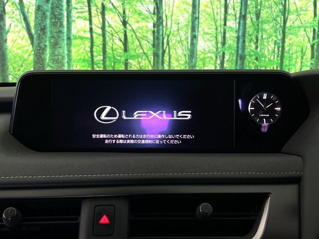 LEXUS UX250h