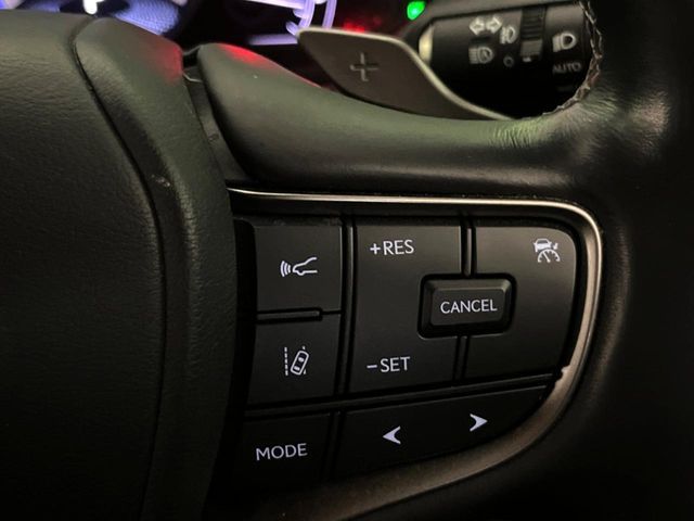 LEXUS UX250h