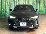 LEXUS UX250h